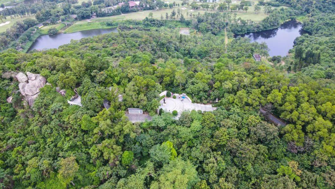 登上罗三妹山,我们会想些什么?_于中山_改革_的发展