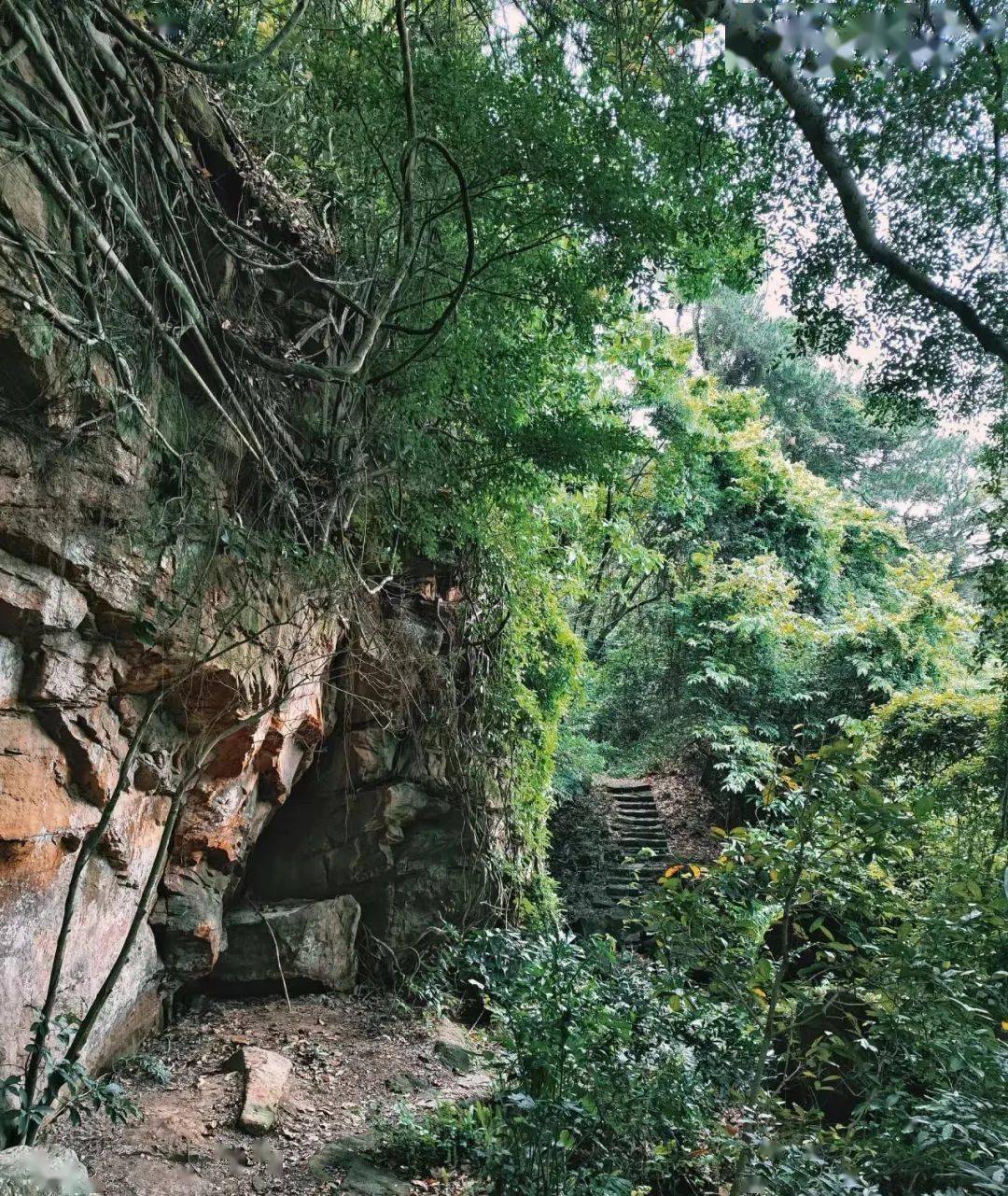伊岭岩 | 新春活动福利多 迷人的喀斯特岩洞等着您_南宁_风景区_武鸣