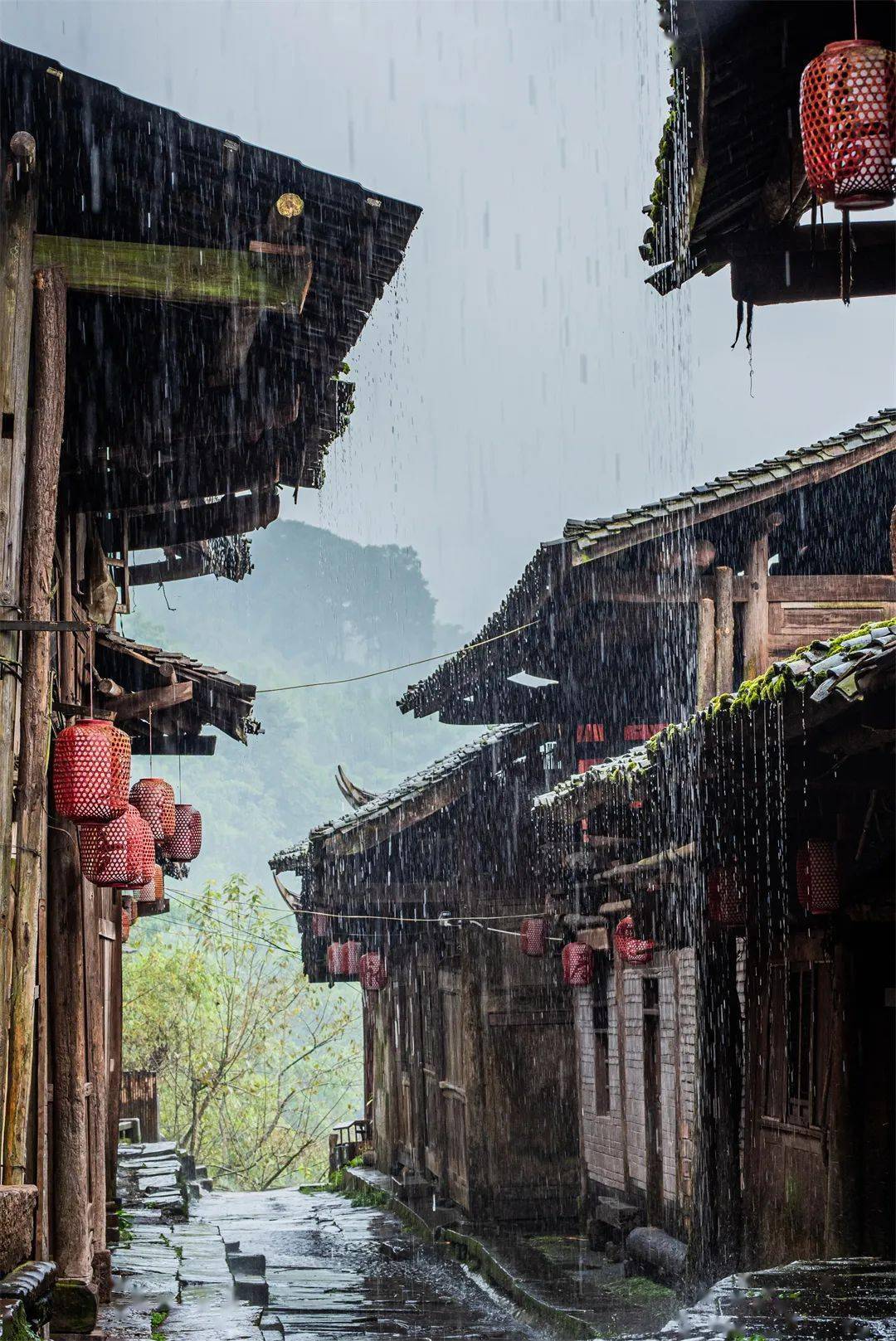 雅安望鱼古镇住宿图片