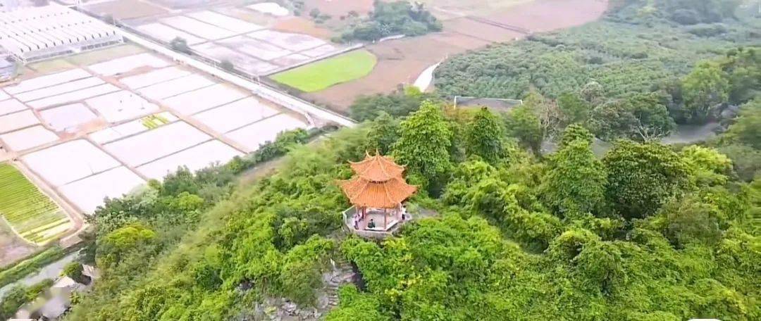 伊岭岩 | 新春活动福利多 迷人的喀斯特岩洞等着您_南宁_风景区_武鸣