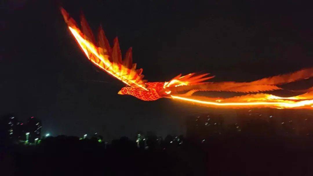 上万张门票免费送!_活动_灯会_售票