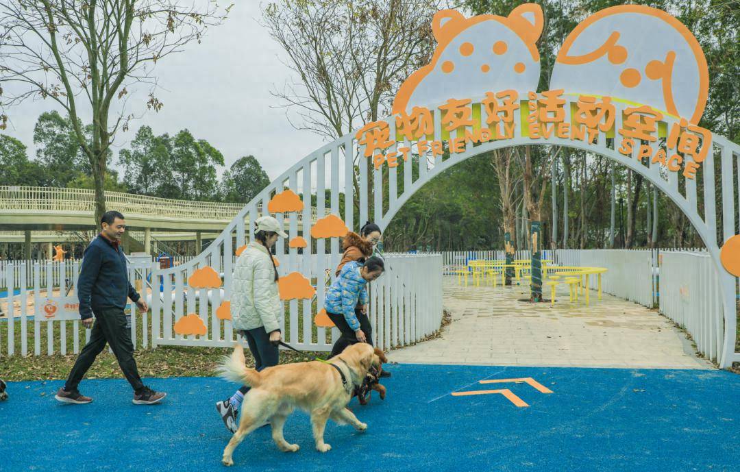 宝安和"毛孩子"的双向奔赴~_宠物_公园_空间
