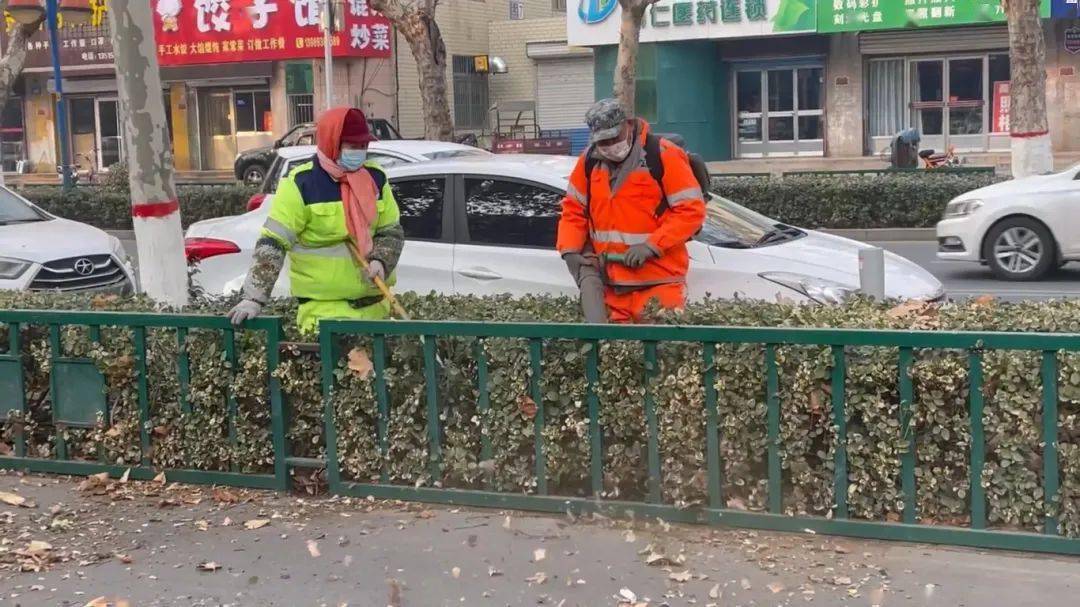 涉及大顺路,齐兴路,牛山路,临淄大道……_绿化带_环卫_城区