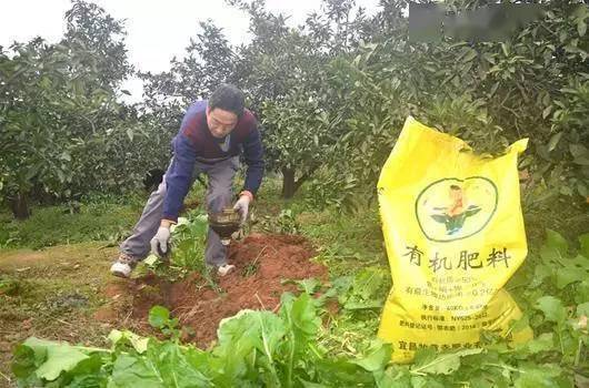 騙人的有機肥用的就是這些原料,太噁心了!_土壤_肥料