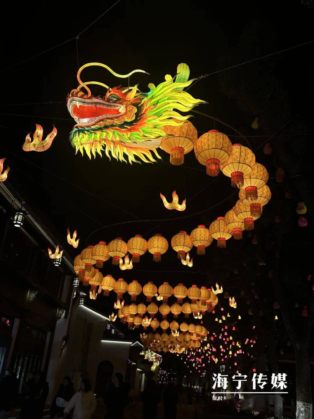 悦读·潮文|一位杭州游客眼里的印象海宁_灯彩_硖石_城市