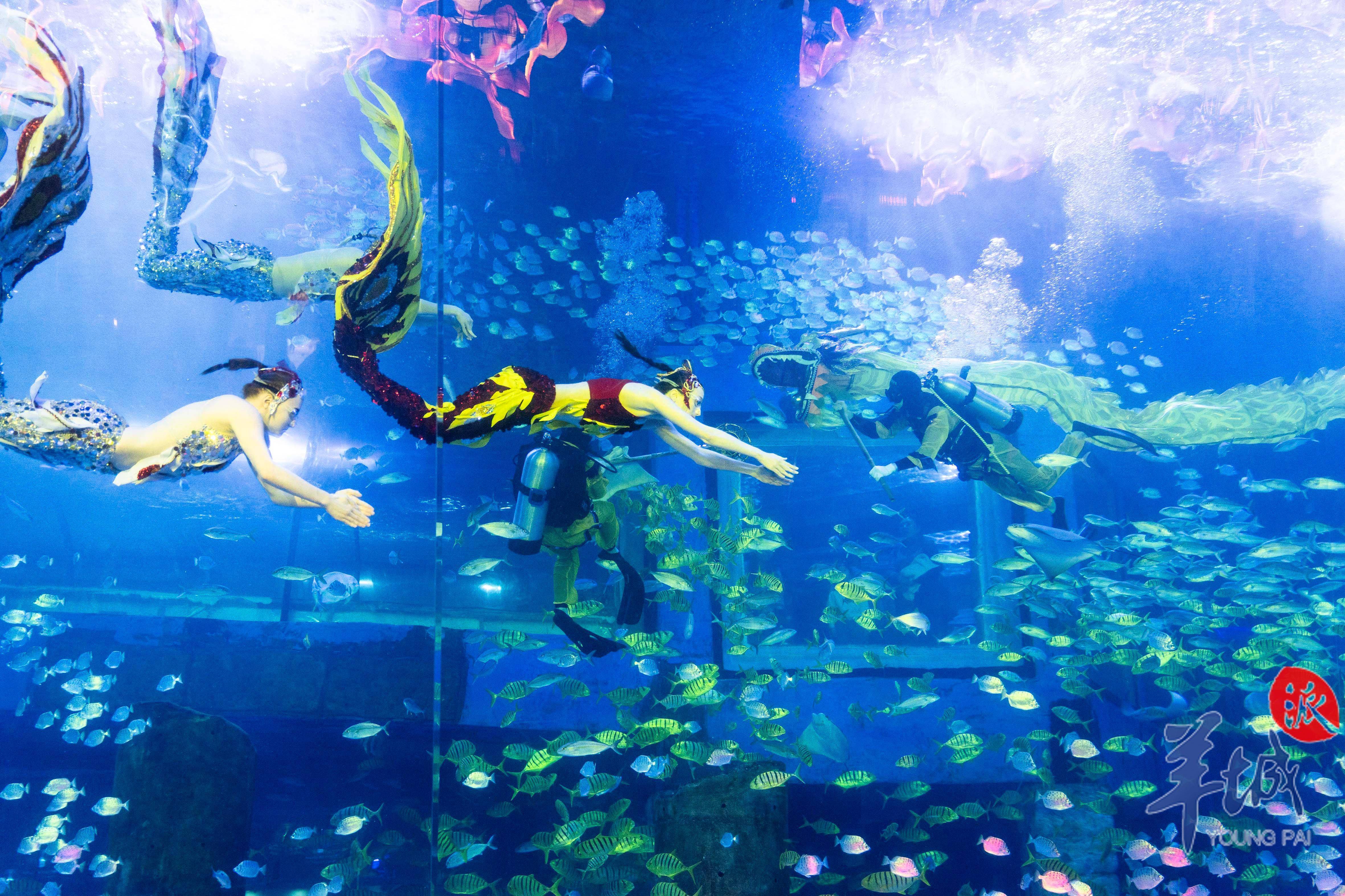 图集|海底龙凤呈祥_文旅_盛唐_场景