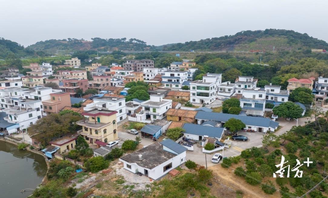 花都赤坭政企联动聚力"百千万工程"_竹洞村_赤坭镇_乡村