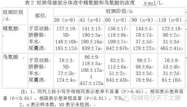 子宫内胎儿发育迟缓是养猪生产中的严重问题,如何做好妊娠母猪的营养