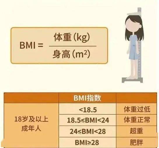 bmi指数女标准图图片