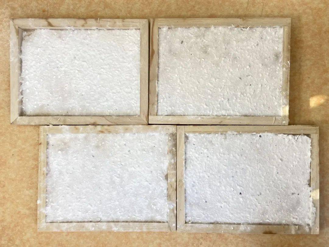 我们用废旧的纸张成功制造出"再生纸",经历了造"纸"后孩子们意识到造"