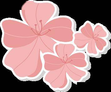 吴勇强_西江_肇庆市