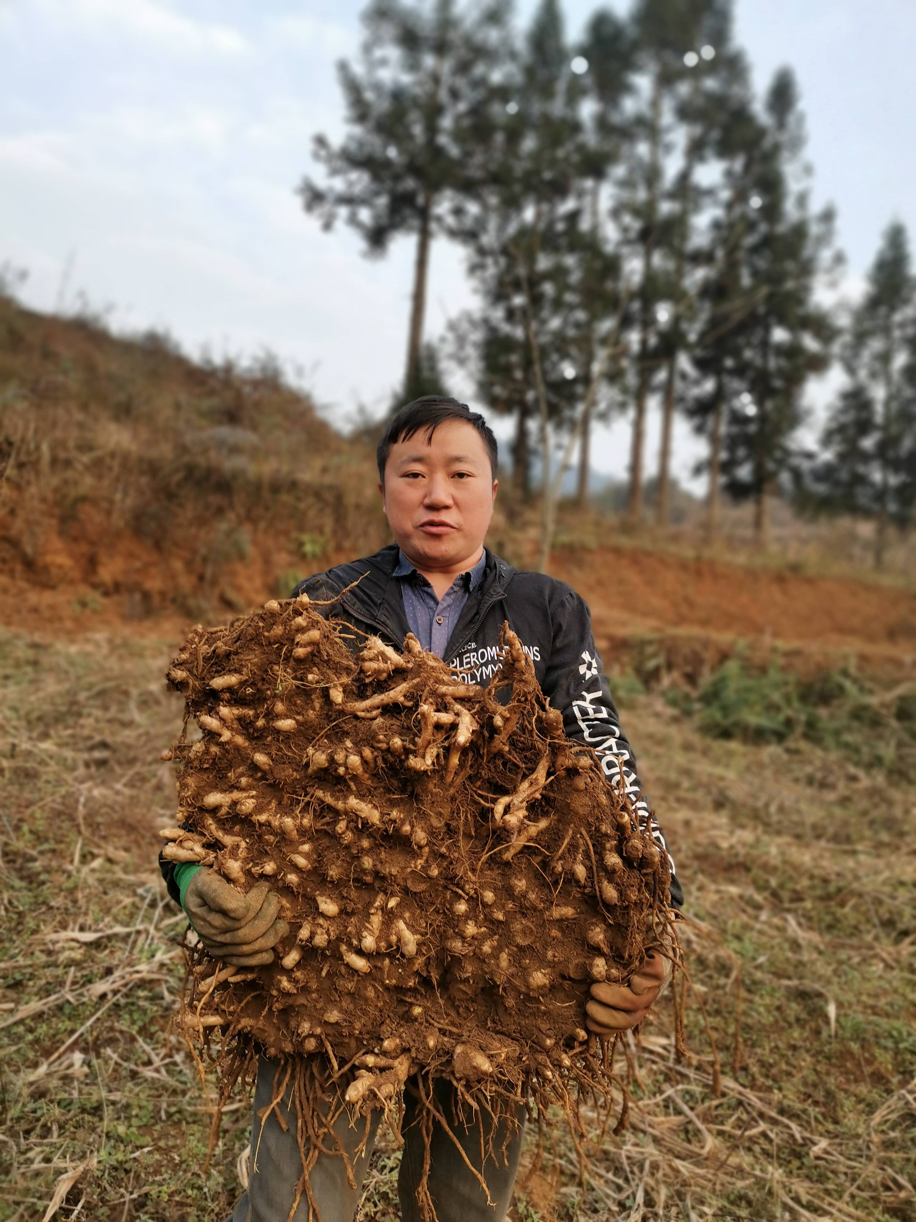 于是在拓展线下销售渠道的同时苏永文决定深耕阳荷线上销售