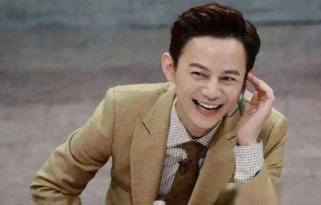 他和刘纯燕搭档主持的《大风车》一度让他成为央视的耀眼明星.