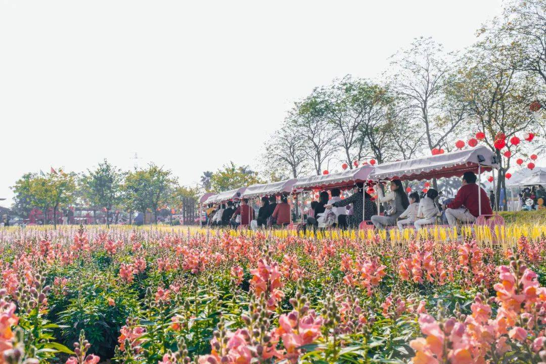 佛山各景區最全指南→_活動_遊園會_水鄉