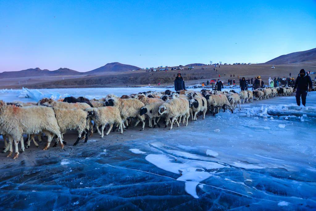西藏山南5000米海拔普莫雍措上演"冰湖赶羊"盛宴_中国_视觉_来源