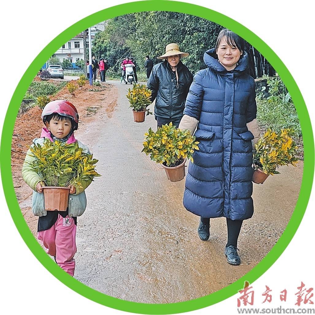 李月嬋 攝深鎮鎮植樹現場.陳海嬋 攝綠意懷抱中的高州鄉村.