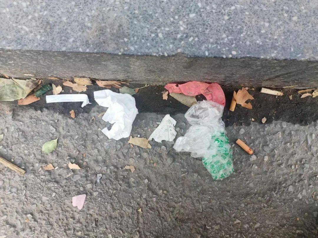 公交站牌垃圾桶"缺位",保定市民:垃圾往哪丢?_站台_候车_西苑小区
