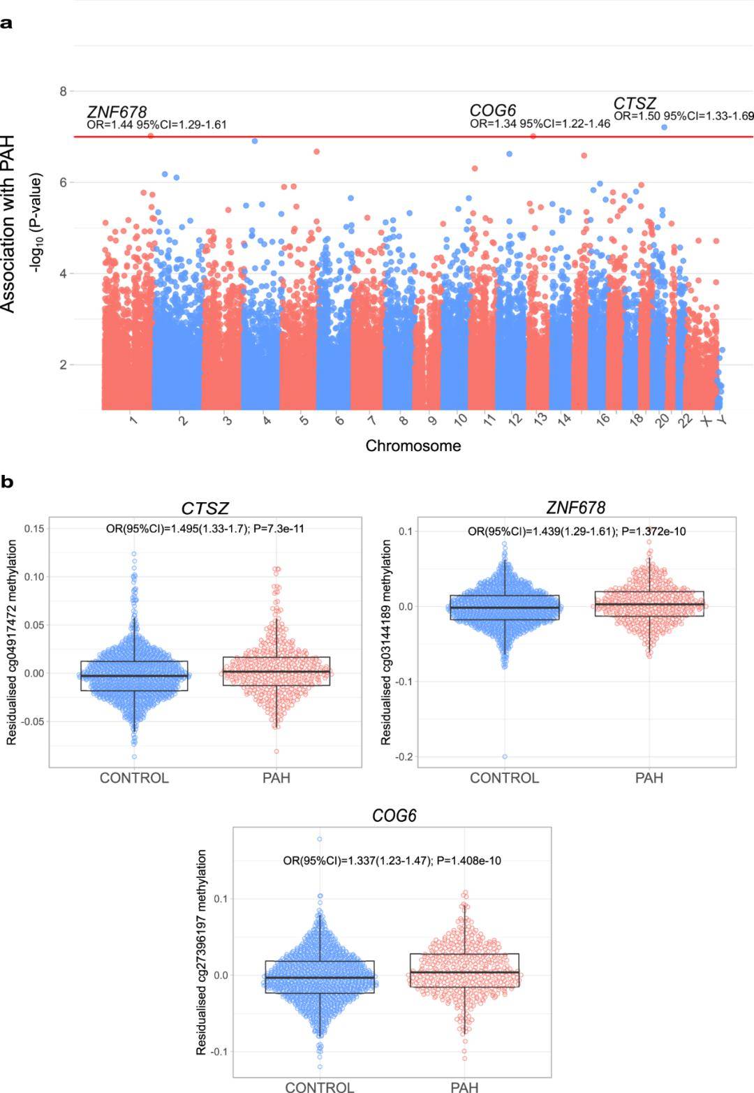 表观遗传标记揭示肺动脉高压新靶标:组织蛋白酶 z的作用与影响