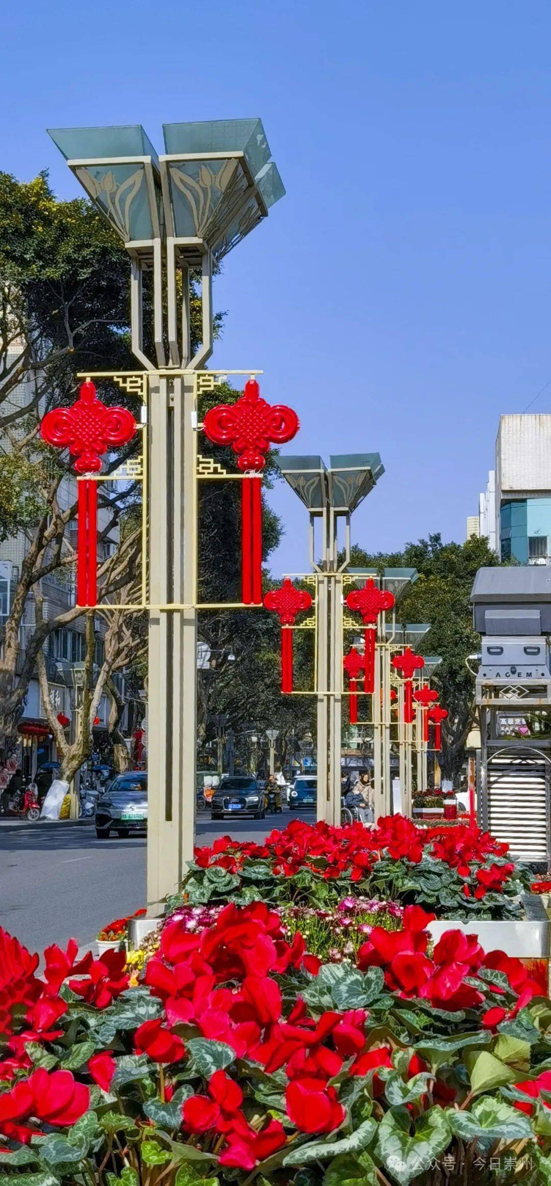将年味衬托得愈发浓烈和花坛里的鲜花相互映衬路灯挂上了大红的中国结