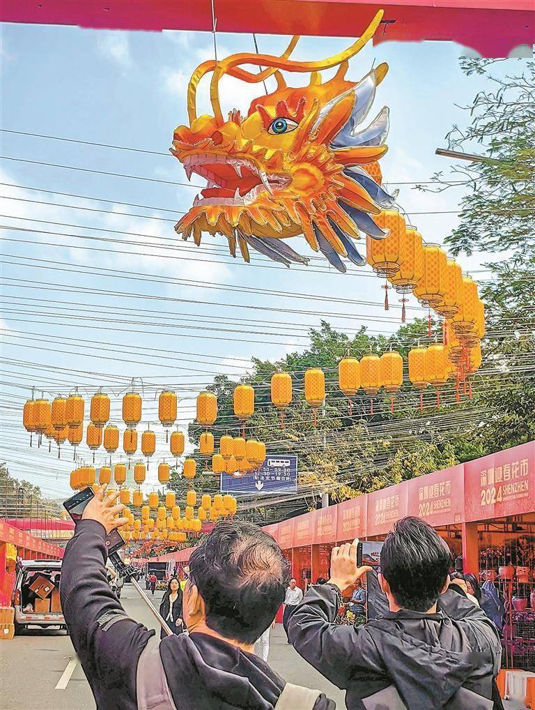 网2024年2月3日讯(深圳晚报记者 伊宵鸿 实习生 邓依晗 罗臻玉)逛花市