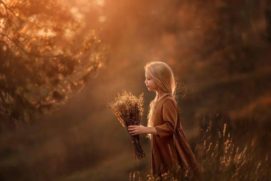 收获_生命_宁静