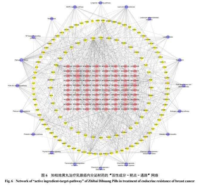 基於網絡藥理學探究知柏地黃丸治療乳腺癌內分泌耐藥