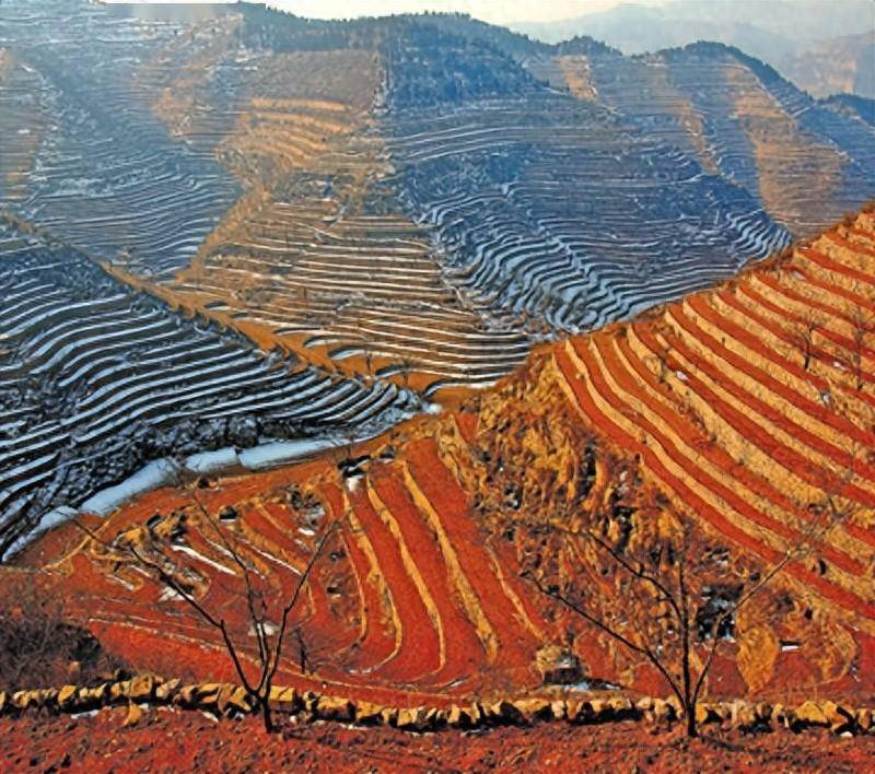 河北涉县旱作石堰梯田的独特价值_王金庄_农业_村民