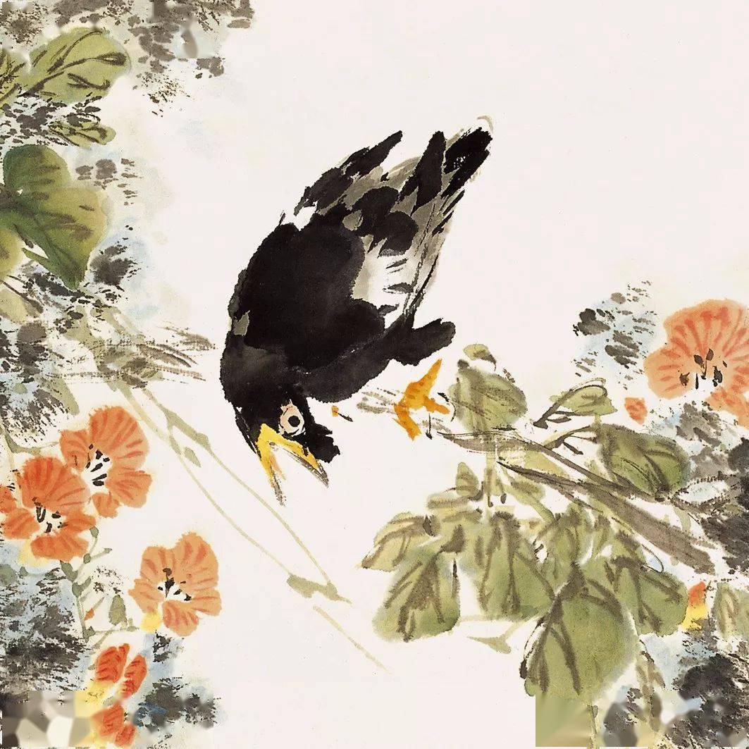 66-鹌鹑67-画眉68-太平鸟69-啄木鸟70-戴胜71-斑鸠72-斑鸠73-鹦鹉74