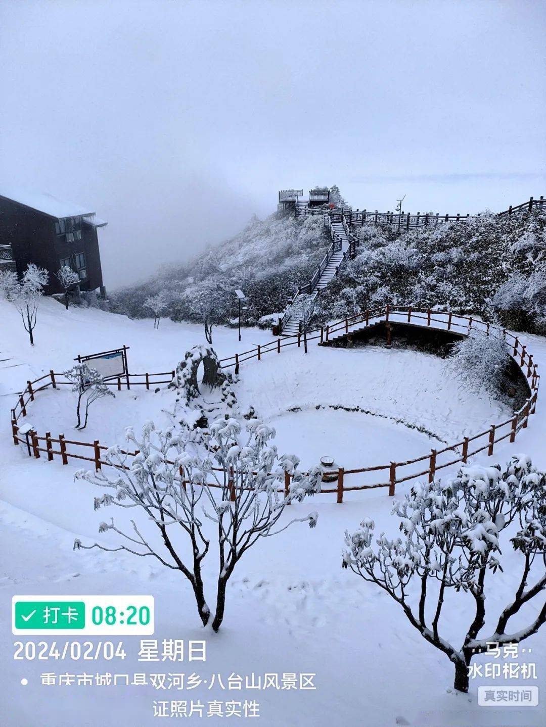 【八台山暴雪】迎来2024年第三场降雪,今日雪景实拍!