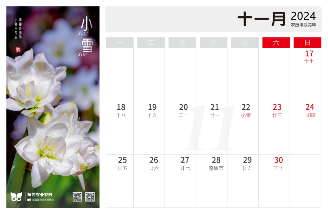 东莞乡亲们,新年惊喜,二十四节气日历免费领