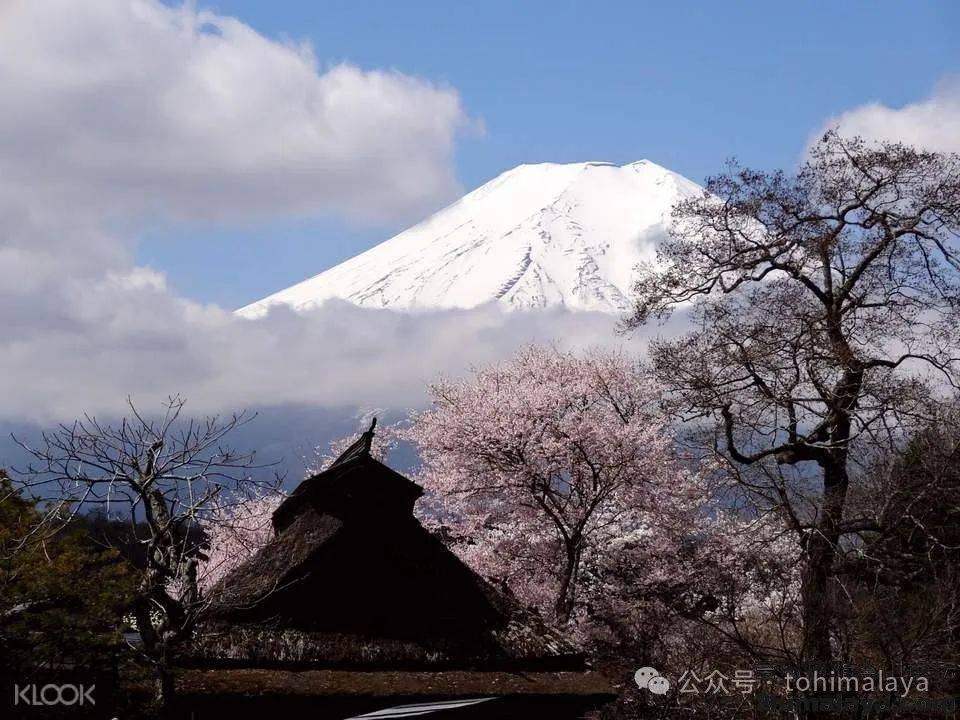 [日本]山梨縣政府計劃限制富士山攀登人數,並收取登山