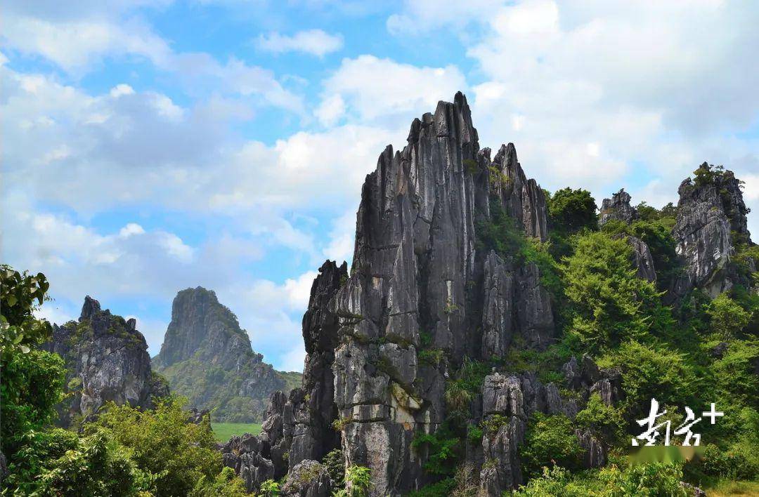 春节到阳江旅游过大年,这些热门景点免费,住宿低至五折_景区_优惠