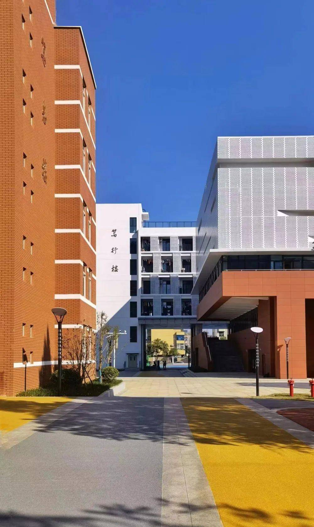 高中驿站 | 合肥五中最新详解!