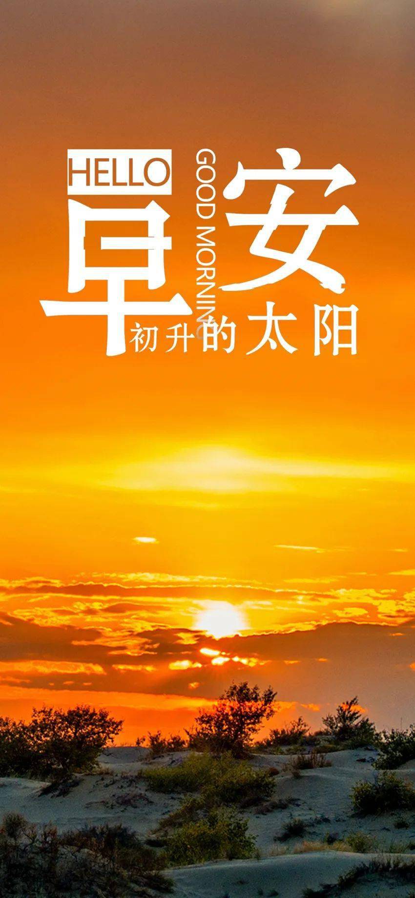 总会收获到满满的阳光,追逐快乐的人,也会收获到愉悦,开启满满正能量
