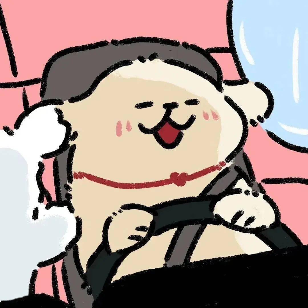 头像|又是早上了,躺着多好