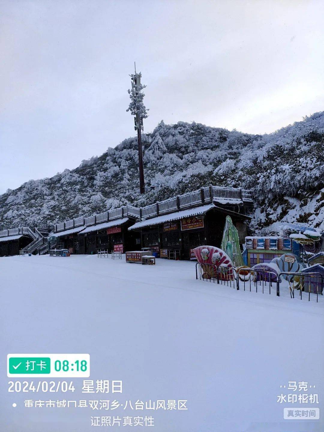 迎来2024年第三场降雪今日雪景实拍