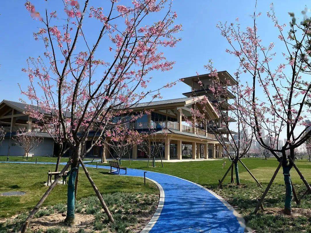 锡澄运河公园大波美图来袭,别忘记来打卡~_江阴_项目_规划