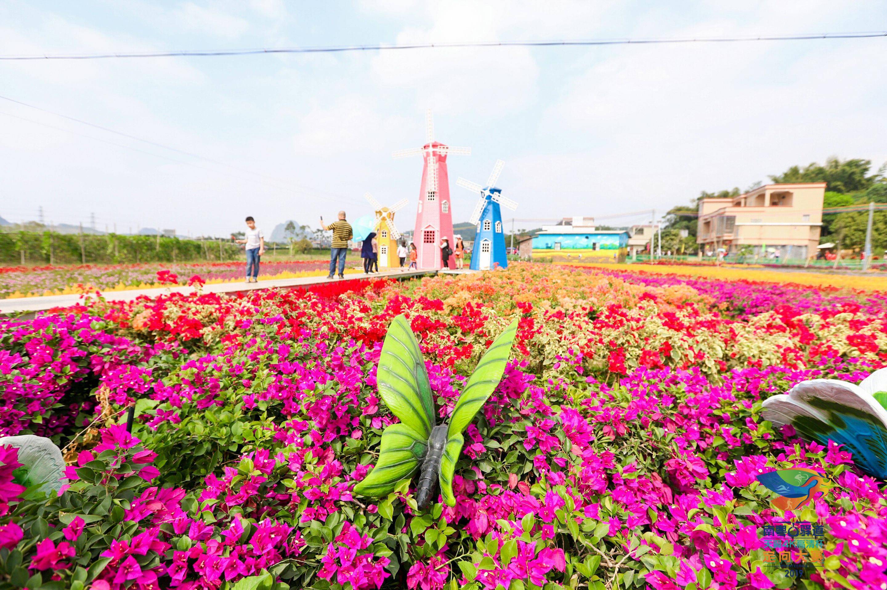 阳春市春湾风景区门票图片