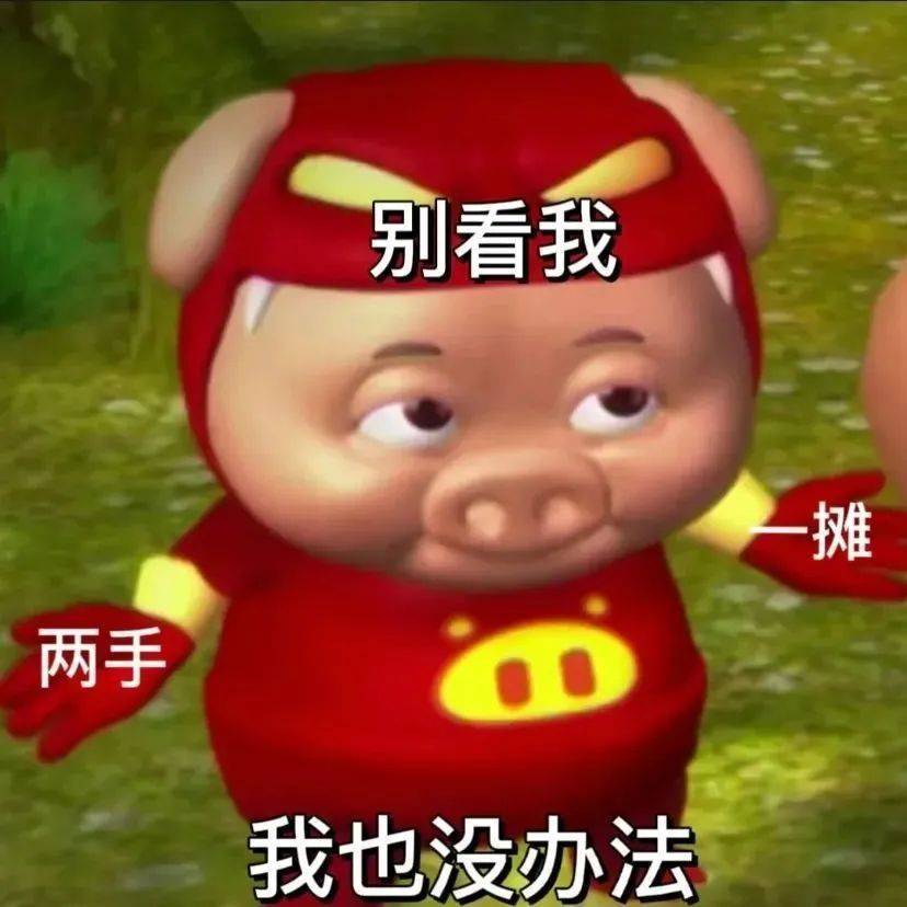 猪猪侠系列动画经过十余年连载长跑,当初看初代猪猪侠的小观众们如今