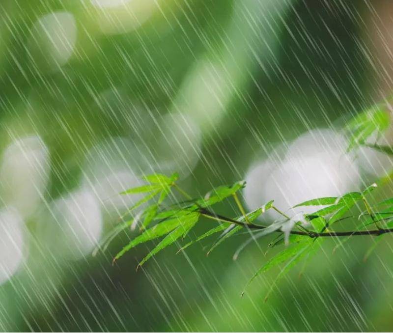 杜甫《春夜喜雨》 好雨知时节