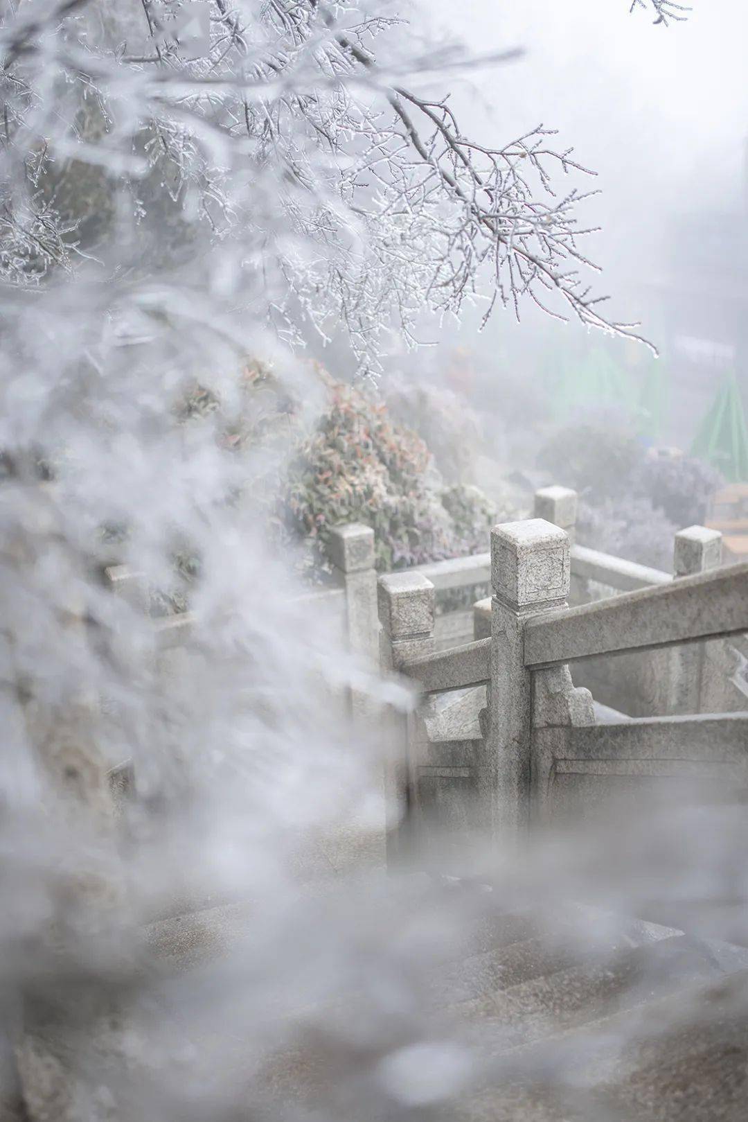 南京雪景紫金山图片