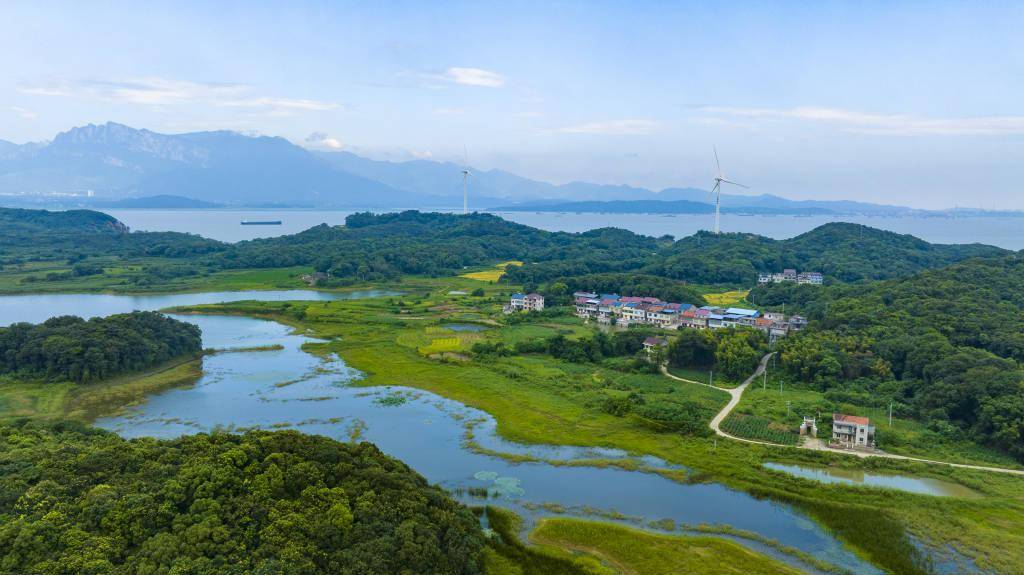 候鸟天堂 生态绿洲——鄱阳湖