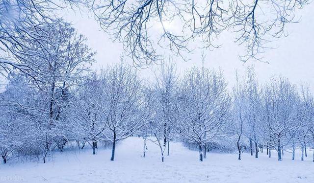 大雪來襲_雪地_內心_家鄉