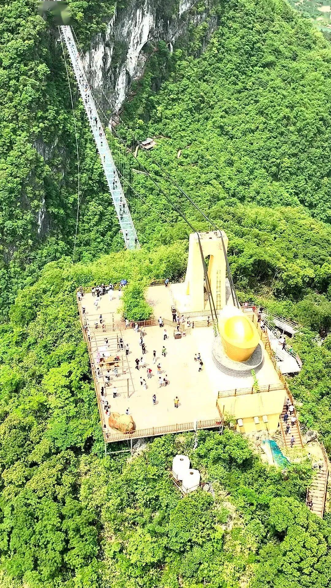 【2月12/14/16日出发】阳山峡天下,油菜花基地, 叹冬天滋补西洋菜鸡宴