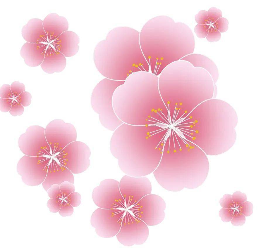 流光一丝清风拂来,樱花花瓣纷纷落下樱花将灿&好景正当时来而春踏武汉