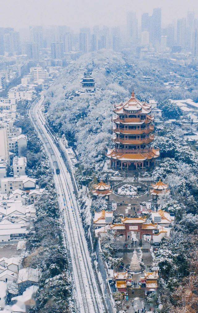 每一根枝条都接住了雪 | 20首关于雪的诗_沉默_世界
