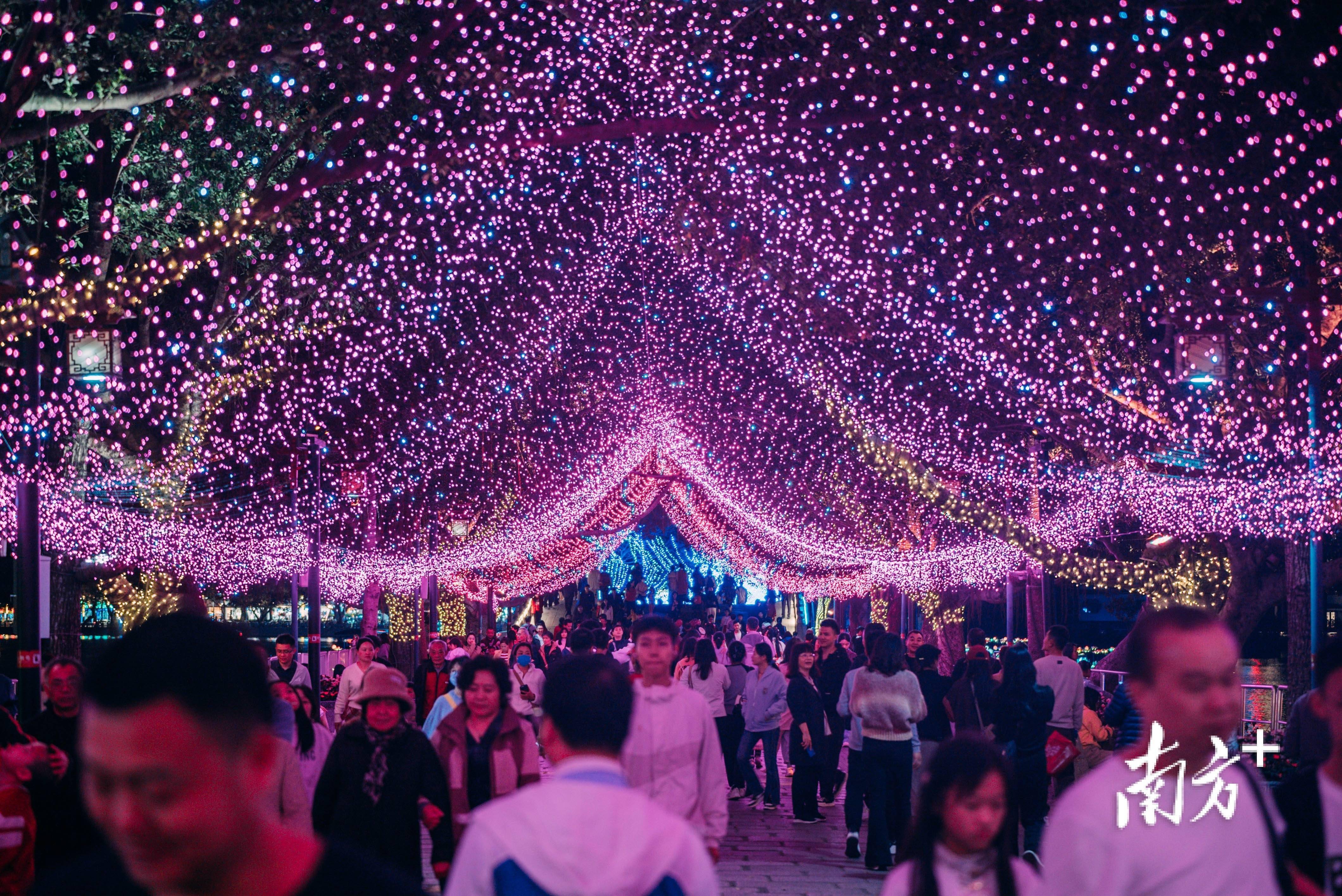 惠州西湖 花灯图片