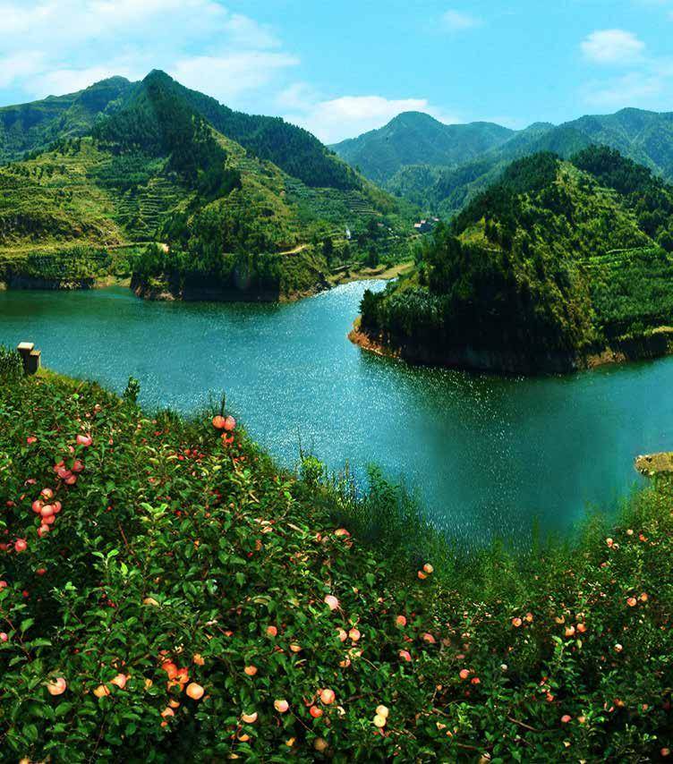 生态文明示范建设(358)| 生态文明建设示范区——山东省淄博市沂源县