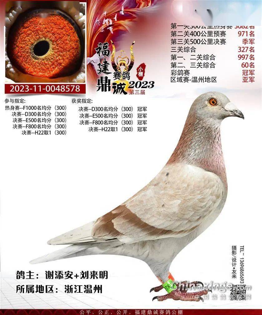一袭红装杀入三强!盘点2023秋赛沙场的"红色奖鸽"