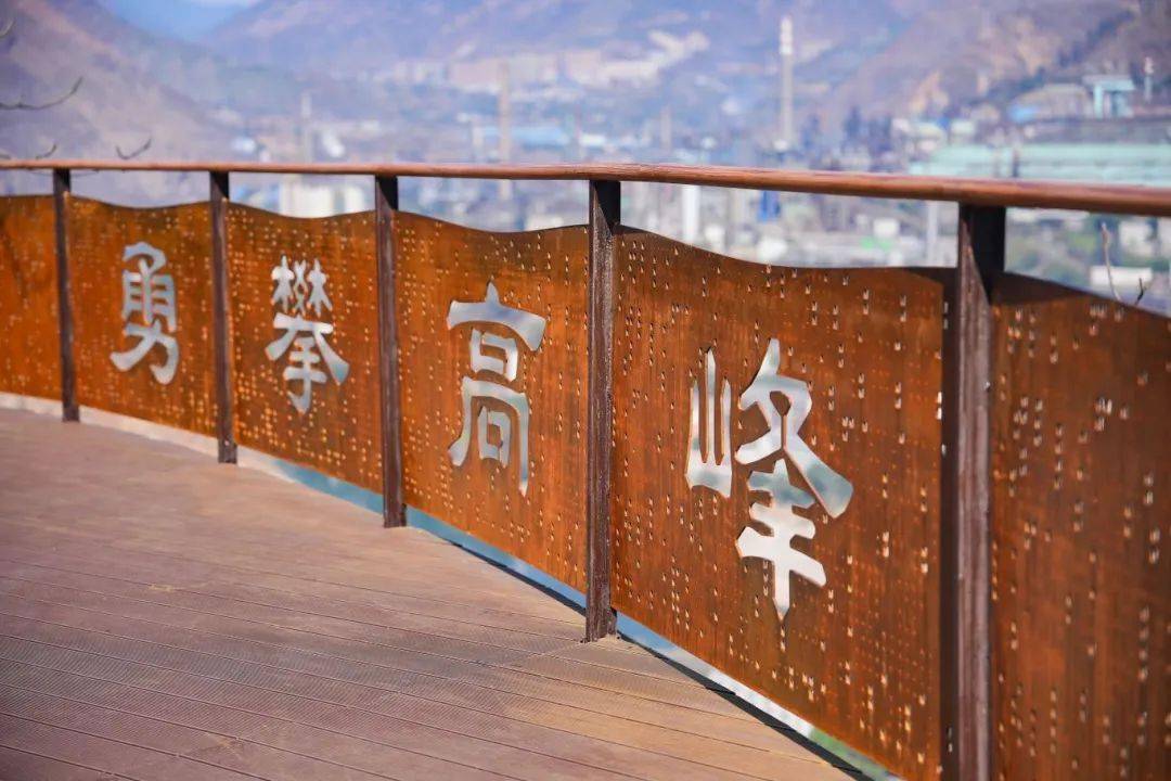 前进镇"一棵树"观景台带你俯瞰象牙微雕钢城_攀钢_的发展_厂区